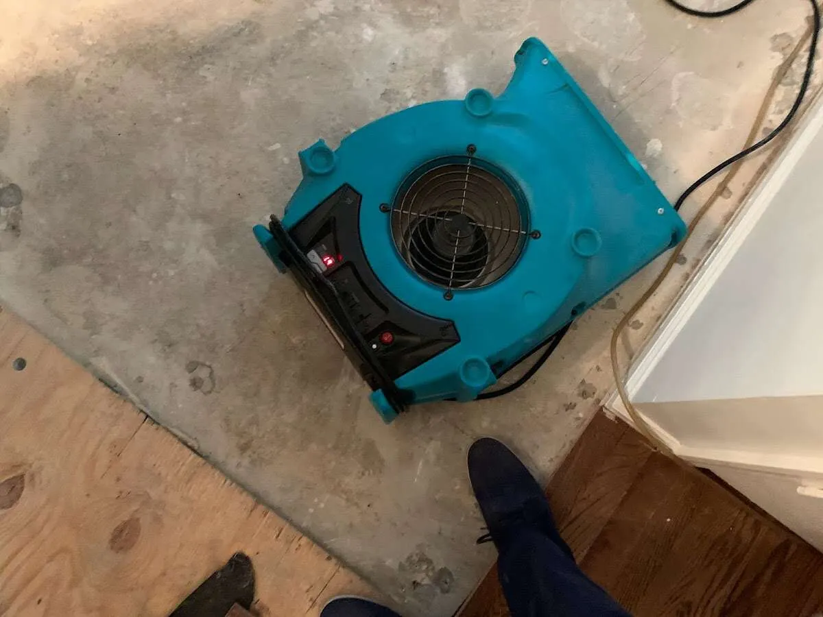 Air mover drying subfloor during Leak Detection & Repair in Elmwood Park